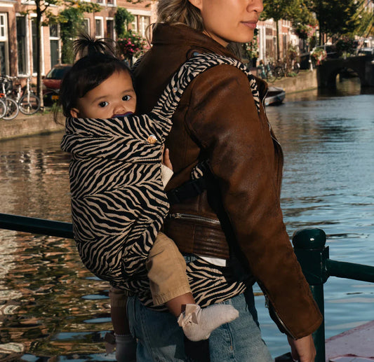 Instructions - Back Carrying